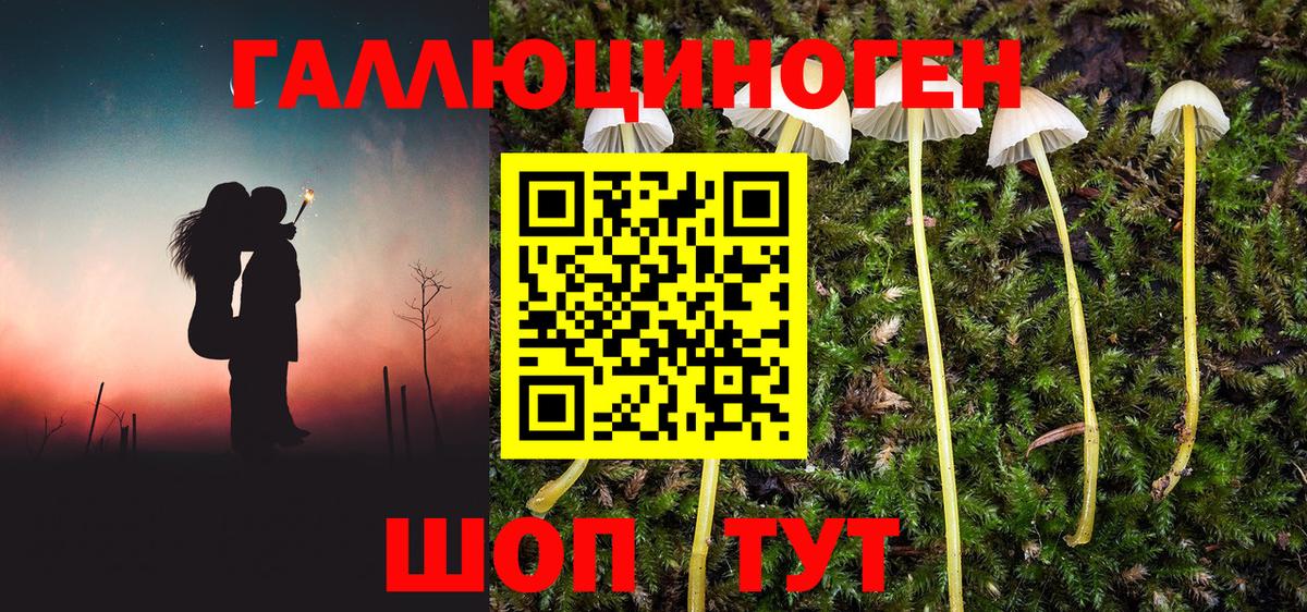 Псилоцибиновые грибы MAGIC MUSHROOMS Карталы