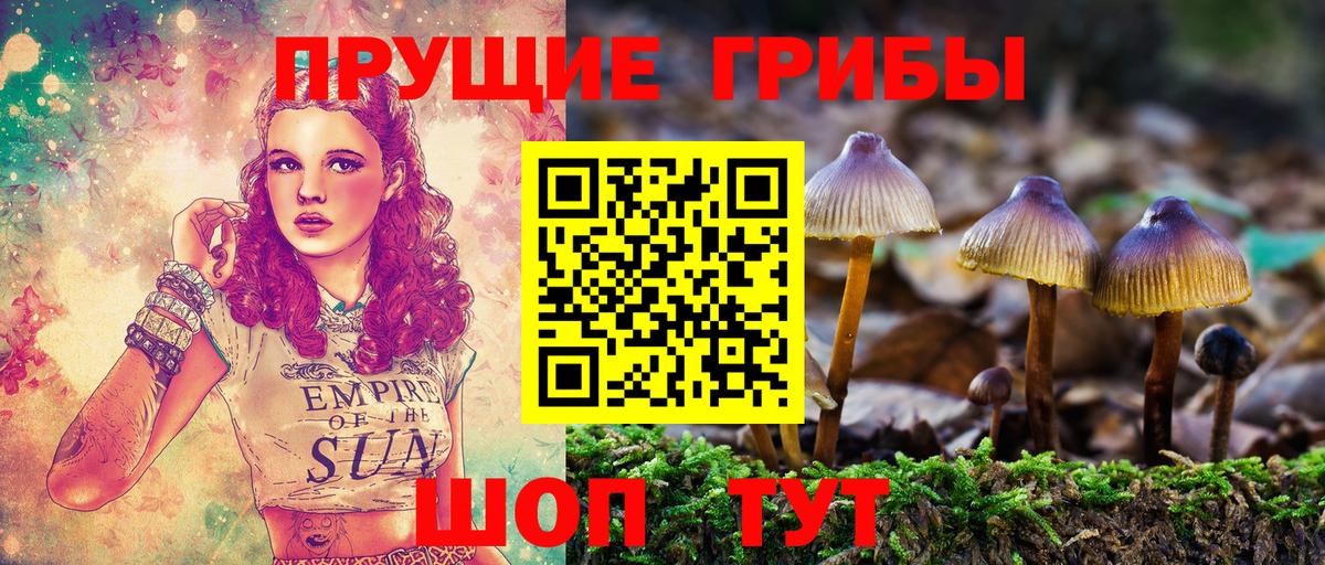 Галлюциногенные грибы мицелий  Вход с VPN  купить наркотики цена  Карталы  Галлюциногенные грибы Magic Shrooms 